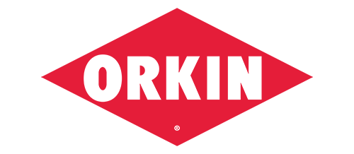 www.orkin.ge